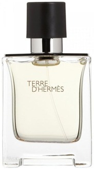 Hermes Paris Terre d'Hermes eau de toilette - 100 ml - 000