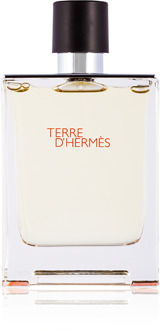 Hermès Terre D'Hermès Eau de Toilette 100 ml