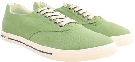 Hermosa Surfwash Heren Groene Plimsolls
