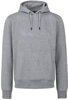 Hernandez Hoodie Licht Grijs Lichtgrijs
