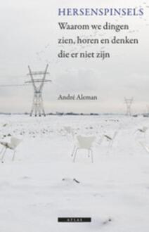 Hersenspinsels - Boek André Aleman (9045017261)