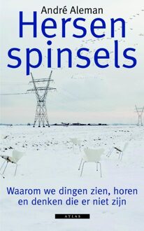Hersenspinsels - eBook André Aleman (9045019647)