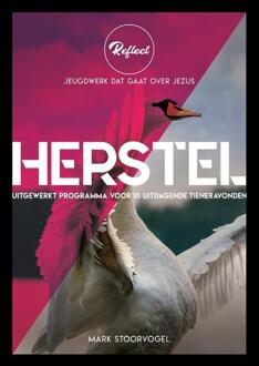 Herstel - Reflect - Mark Stoorvogel