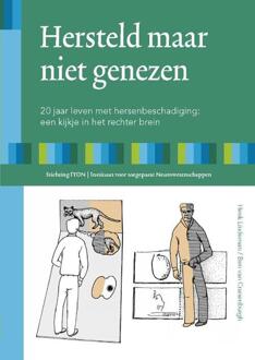 Hersteld maar niet genezen - Boek Henk Lindeman (9080427543)