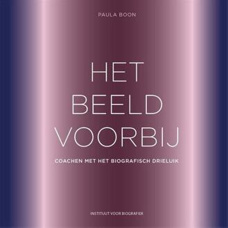 Het Beeld Voorbij - Paula Boon