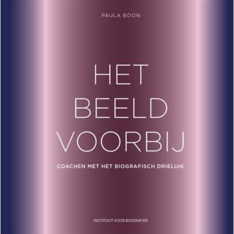 Het Beeld Voorbij - Paula Boon