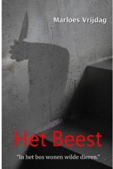 Het Beest - Boek Marloes Vrijdag (907845962X)