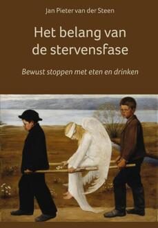 Het belang van de stervensfase -  Jan Pieter van der Steen (ISBN: 9789083369594)