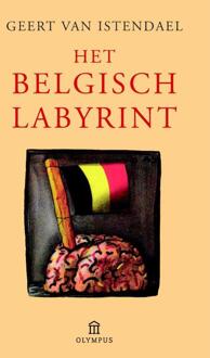 Het Belgisch labyrint - Boek Geert Van Istendael (9046704939)