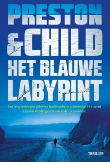Het blauwe labyrint - eBook Preston & Child (9024566924)