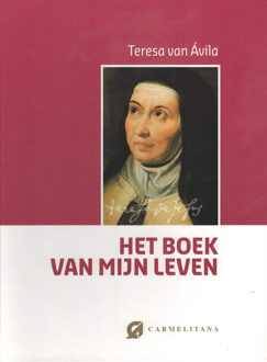 Het boek van mijn leven - Boek Teresa van Avila (9076671702)