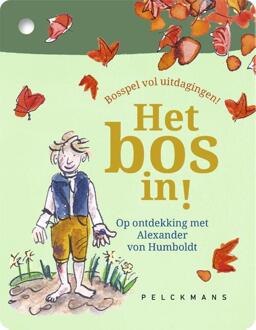 Het bos in