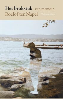 Het brokstuk - Roelof ten Napel - ebook