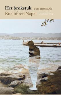 Het brokstuk -  Roelof ten Napel (ISBN: 9789048872282)