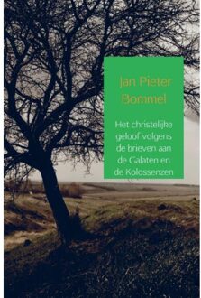 Het Christelijke Geloof Volgens De Brieven Aan De - (ISBN:9789463675895)