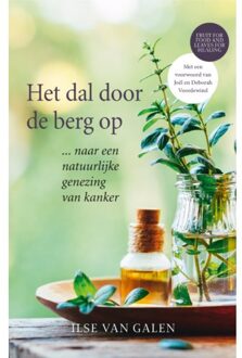 Het dal door de berg op - Boek Ilse van Galen (905999132X)