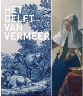 Het Delft Van Vermeer