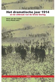 Het dramatische jaar 1914 en de uitbraak van de Grote Oorlog - Boek Henk van der Linden (9461533055)