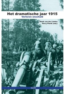 Het dramatische jaar 1915 - Boek Henk van der Linden (9461535139)