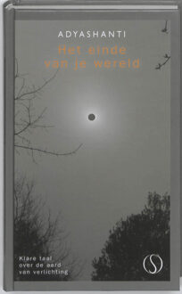 Het einde van je wereld - Boek Adyashanti (9077228861)
