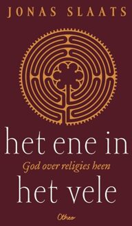 Het ene in het vele - Jonas Slaats - ebook