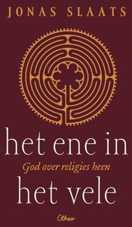 Het ene in het vele -  Jonas Slaats (ISBN: 9789085282211)