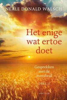 Het enige wat ertoe doet - Boek Neale Donald Walsch (9000363292)