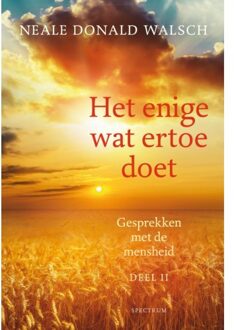 Het enige wat ertoe doet - Boek Neale Donald Walsch (9000363292)