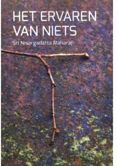 Het ervaren van niets - Boek Nisargadatta Maharaj (9077908188)