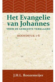 Het Evangelie Van Johannes Voor De Gemeente Verklaard 1 - J.H.L. Roozemeijer
