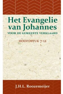 Het Evangelie Van Johannes Voor De Gemeente Verklaard 2 - J.H.L. Roozemeijer