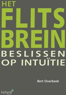 Het flitsbrein - eBook Bert Overbeek (9492221012)