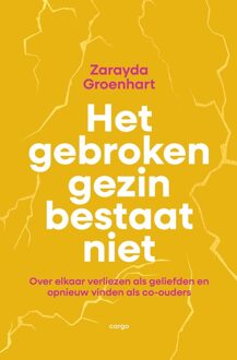 Het gebroken gezin bestaat niet - Zarayda Groenhart - ebook