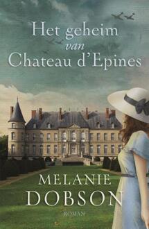 Het geheim van Chateau d´Epines - Boek Melanie Dobson (9029727039)