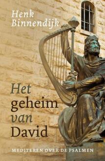 Het Geheim Van David - Henk Binnendijk