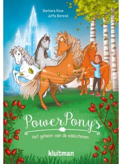 Het Geheim Van De Edelstenen - Power Pony's - Barbara Rose