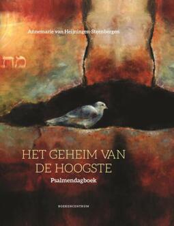 Het geheim van de hoogste - Boek Annemarie van Heijningen-Steenbergen (9023970012)