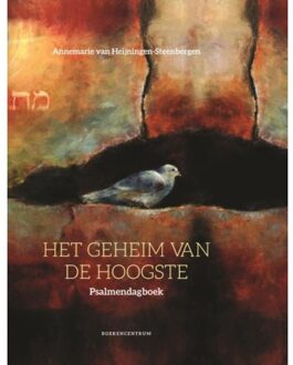 Het geheim van de hoogste - Boek Annemarie van Heijningen-Steenbergen (9023970012)