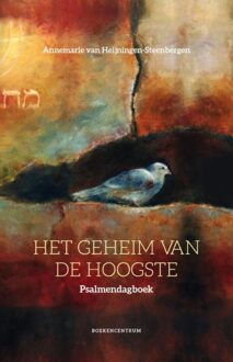 Het geheim van de Hoogste - eBook Annemarie van Heijningen-Steenbergen (9023979206)