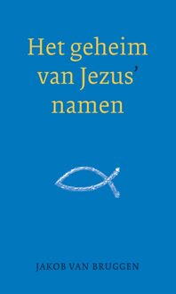 Het geheim van Jezus' namen - eBook Jakob van Bruggen (9043527254)