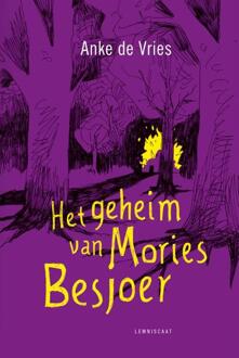Het geheim van Mories Besjoer - Boek Anke de Vries (904770830X)