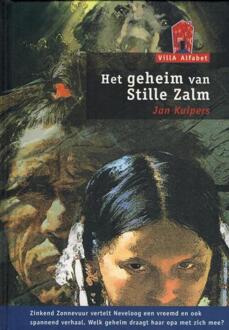 Het geheim van Stille Zalm - Boek Jan J.B. Kuipers (9043703664)