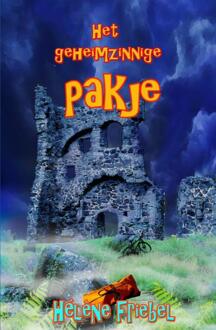 Het geheimzinnige pakje - Boek Tineke Bakker-van Ingen (9491670123)