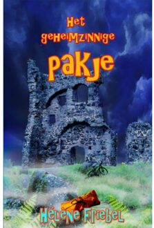 Het geheimzinnige pakje - Boek Tineke Bakker-van Ingen (9491670123)