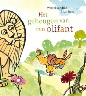 Het geheugen van een olifant - Boek Wessel Sandtke (9047708989)