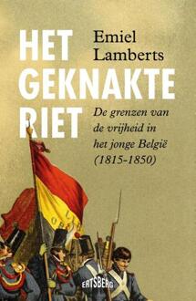 Het geknakte riet -  Emiel Lamberts (ISBN: 9789464984736)