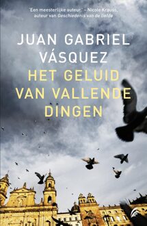 Het geluid van vallende dingen - eBook Juan Gabriel Vásquez (9044966618)