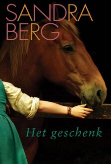 Het geschenk - eBook Sandra Berg (9059776763)