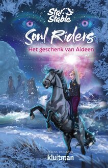 Het geschenk van Aideen - Helena Dahlgren - ebook