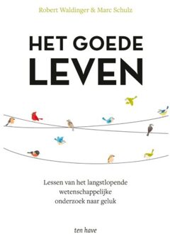 Het Goede Leven - Robert Waldinger